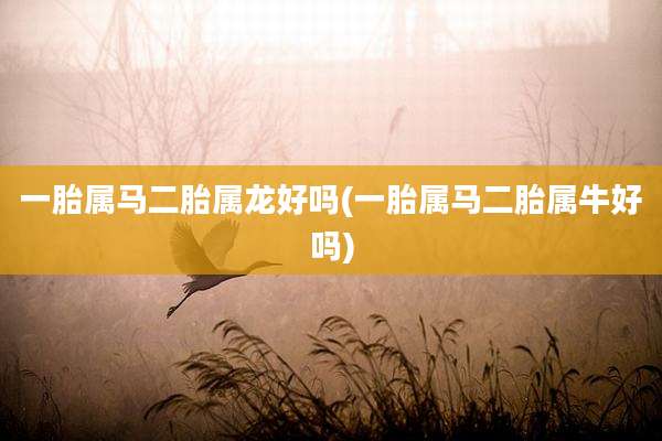 一胎属马二胎属龙好吗(一胎属马二胎属牛好吗)