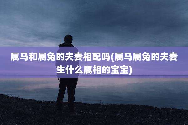 属马和属兔的夫妻相配吗(属马属兔的夫妻生什么属相的宝宝)