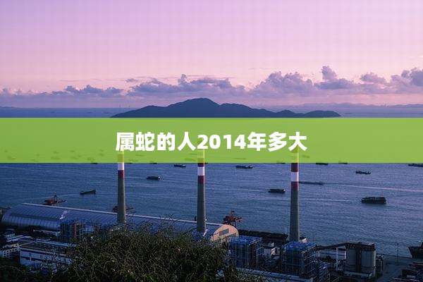 属蛇的人2014年多大