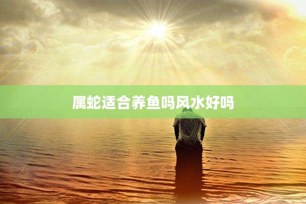 属蛇适合养鱼吗风水好吗