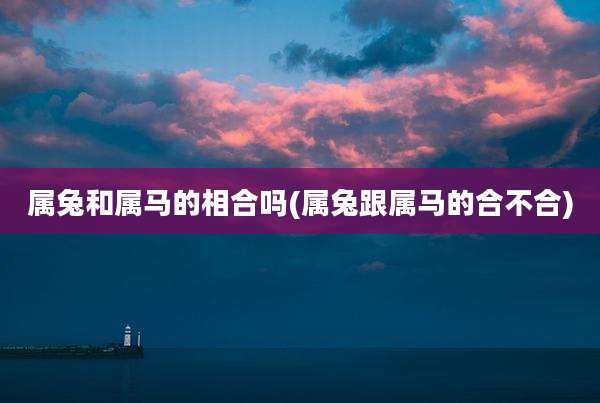 属兔和属马的相合吗(属兔跟属马的合不合)