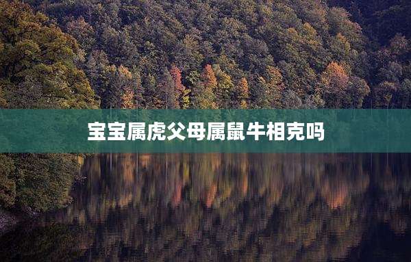 宝宝属虎父母属鼠牛相克吗
