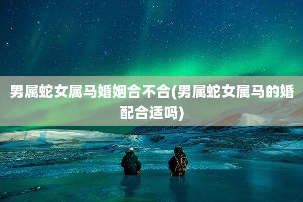 男属蛇女属马婚姻合不合(男属蛇女属马的婚配合适吗)