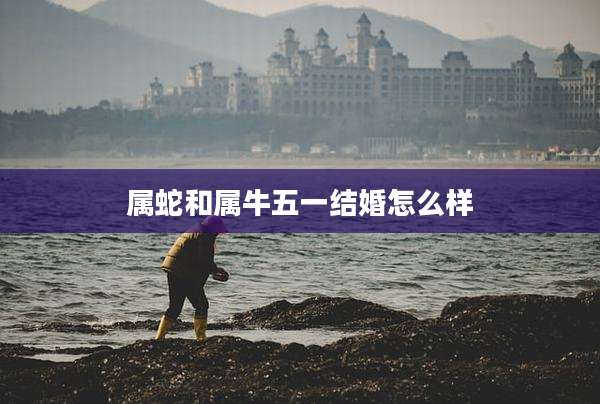 属蛇和属牛五一结婚怎么样