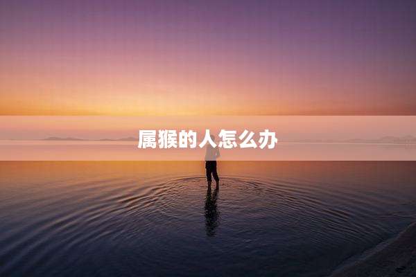 属猴的人怎么办