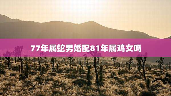 77年属蛇男婚配81年属鸡女吗