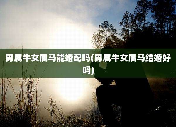 男属牛女属马能婚配吗(男属牛女属马结婚好吗)