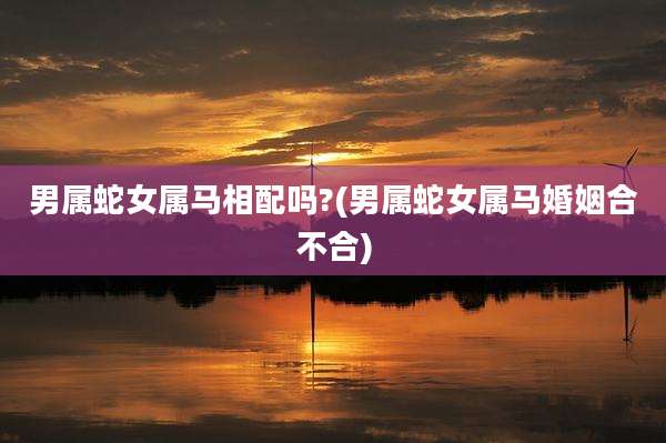 男属蛇女属马相配吗?(男属蛇女属马婚姻合不合)