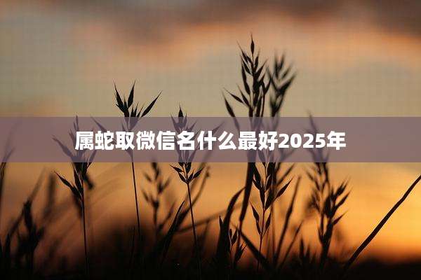 属蛇取微信名什么最好2025年