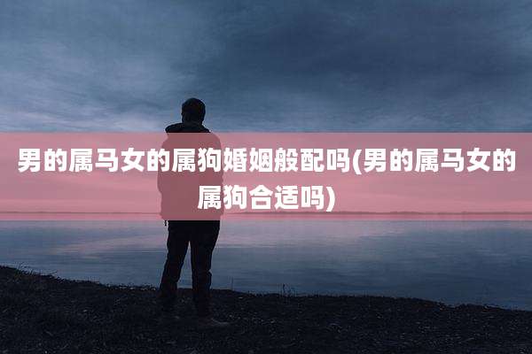 男的属马女的属狗婚姻般配吗(男的属马女的属狗合适吗)