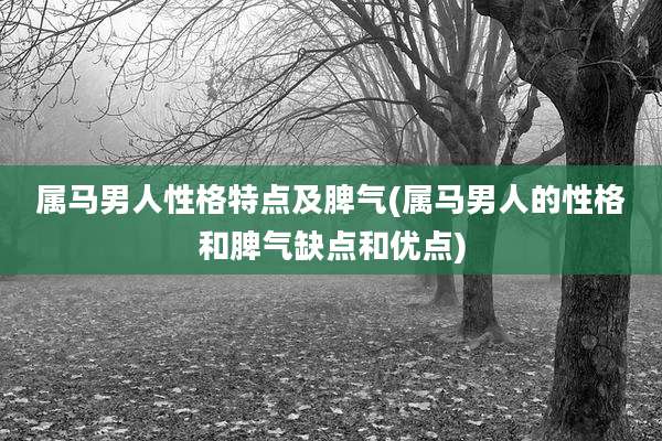 属马男人性格特点及脾气(属马男人的性格和脾气缺点和优点)
