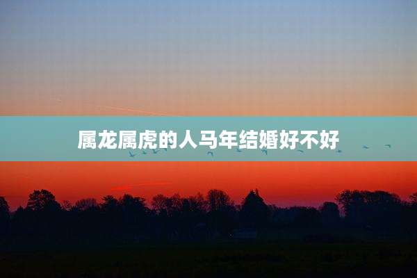属龙属虎的人马年结婚好不好