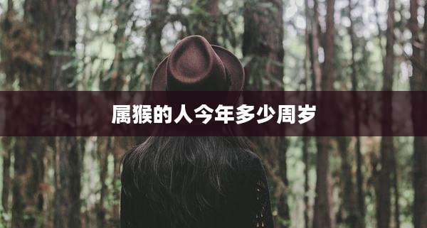 属猴的人今年多少周岁