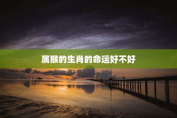 属猴的生肖的命运好不好