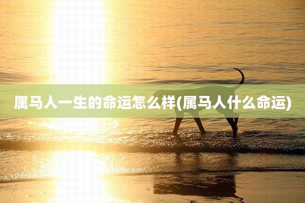 属马人一生的命运怎么样(属马人什么命运)