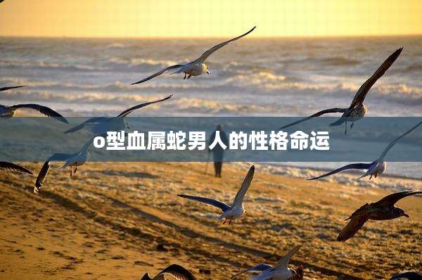 o型血属蛇男人的性格命运