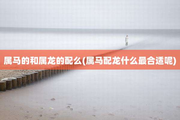 属马的和属龙的配么(属马配龙什么最合适呢)