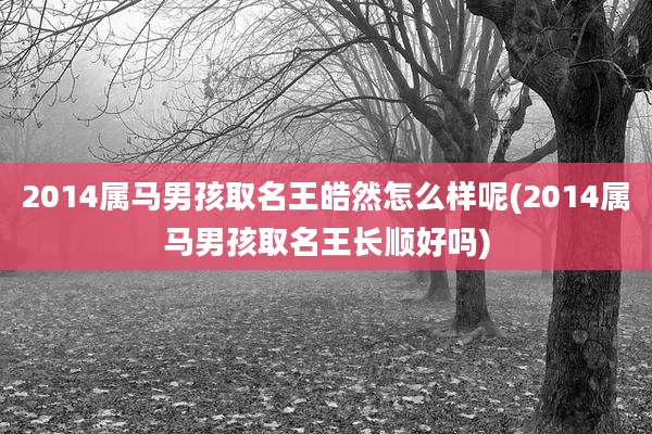 2014属马男孩取名王皓然怎么样呢(2014属马男孩取名王长顺好吗)