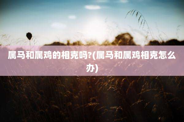 属马和属鸡的相克吗?(属马和属鸡相克怎么办)