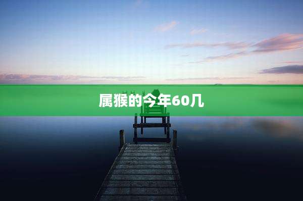 属猴的今年60几