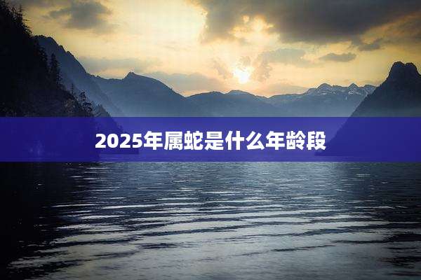 2025年属蛇是什么年龄段