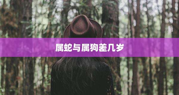 属蛇与属狗差几岁