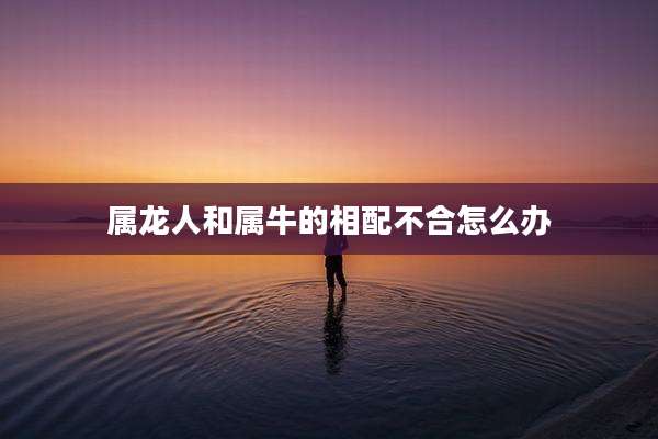属龙人和属牛的相配不合怎么办