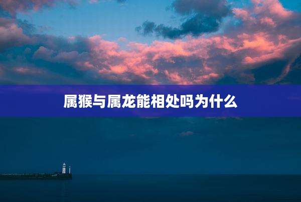 属猴与属龙能相处吗为什么