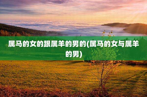 属马的女的跟属羊的男的(属马的女与属羊的男)