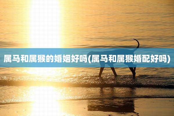 属马和属猴的婚姻好吗(属马和属猴婚配好吗)