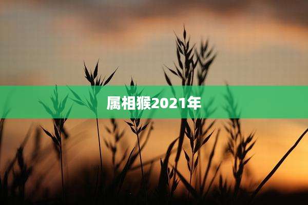 属相猴2021年