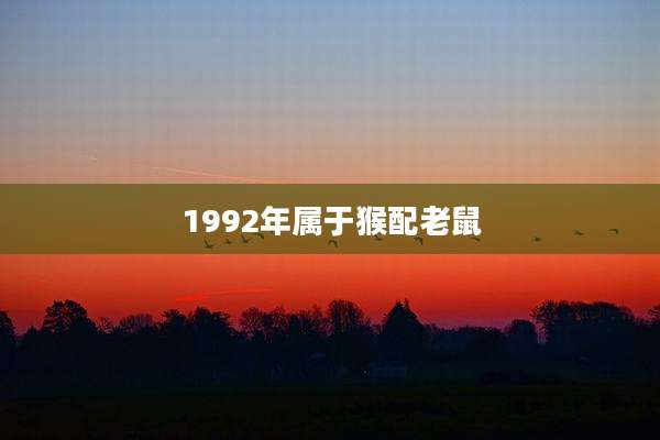 1992年属于猴配老鼠