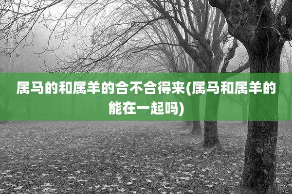属马的和属羊的合不合得来(属马和属羊的能在一起吗)