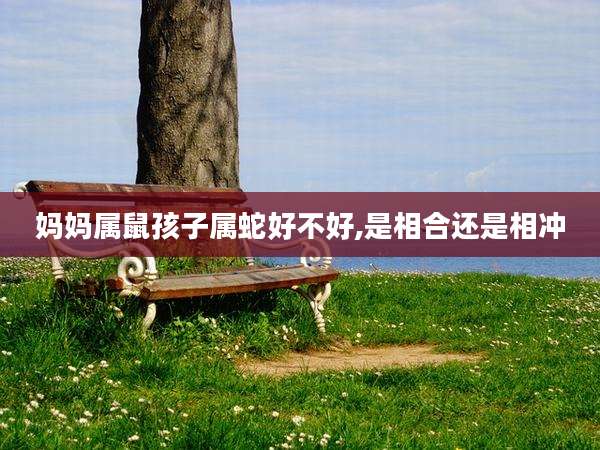 妈妈属鼠孩子属蛇好不好,是相合还是相冲