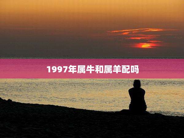 1997年属牛和属羊配吗