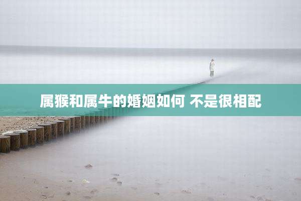 属猴和属牛的婚姻如何 不是很相配