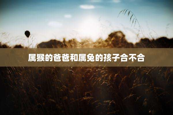 属猴的爸爸和属兔的孩子合不合