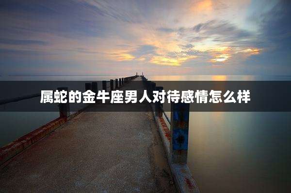 属蛇的金牛座男人对待感情怎么样