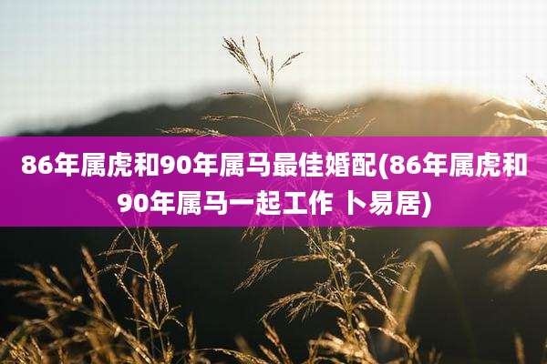 86年属虎和90年属马最佳婚配(86年属虎和90年属马一起工作 卜易居)