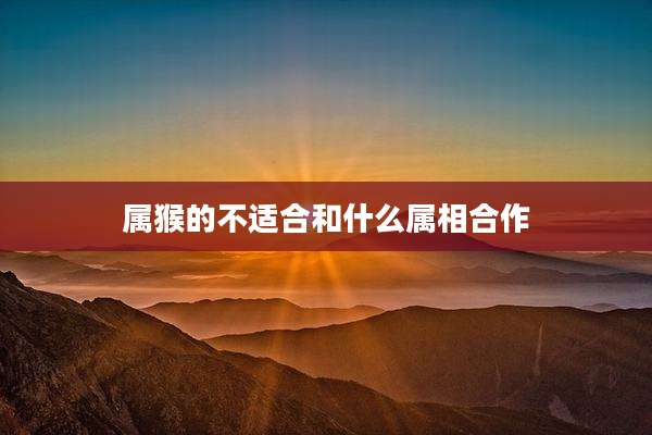 属猴的不适合和什么属相合作