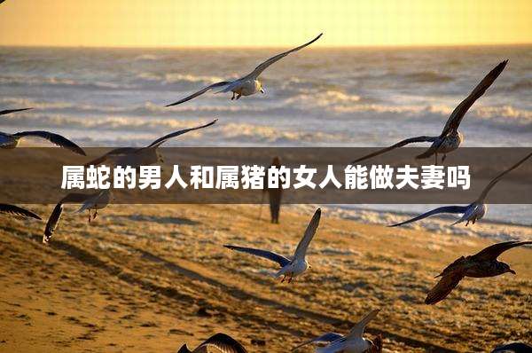属蛇的男人和属猪的女人能做夫妻吗