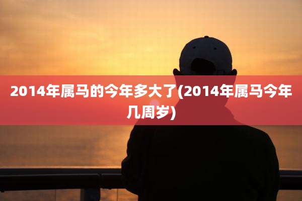 2014年属马的今年多大了(2014年属马今年几周岁)