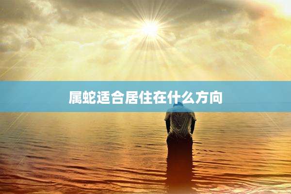 属蛇适合居住在什么方向