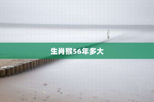生肖猴56年多大