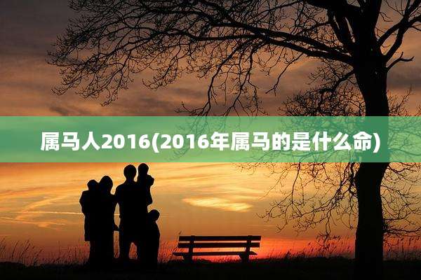 属马人2016(2016年属马的是什么命)