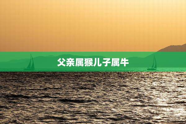 父亲属猴儿子属牛