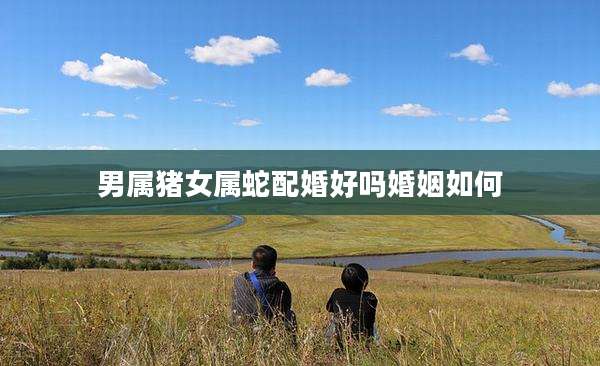 男属猪女属蛇配婚好吗婚姻如何