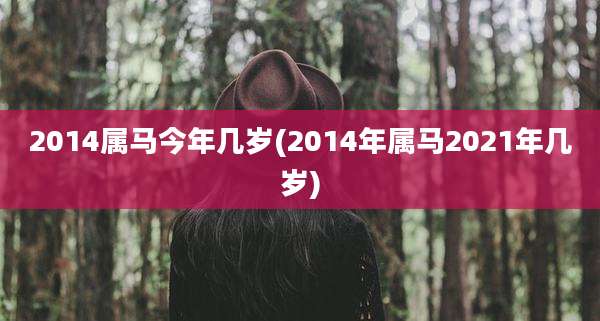 2014属马今年几岁(2014年属马2021年几岁)