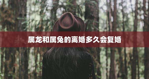 属龙和属兔的离婚多久会复婚