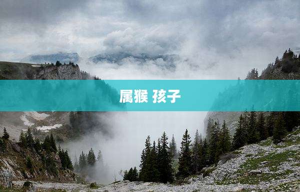 属猴 孩子